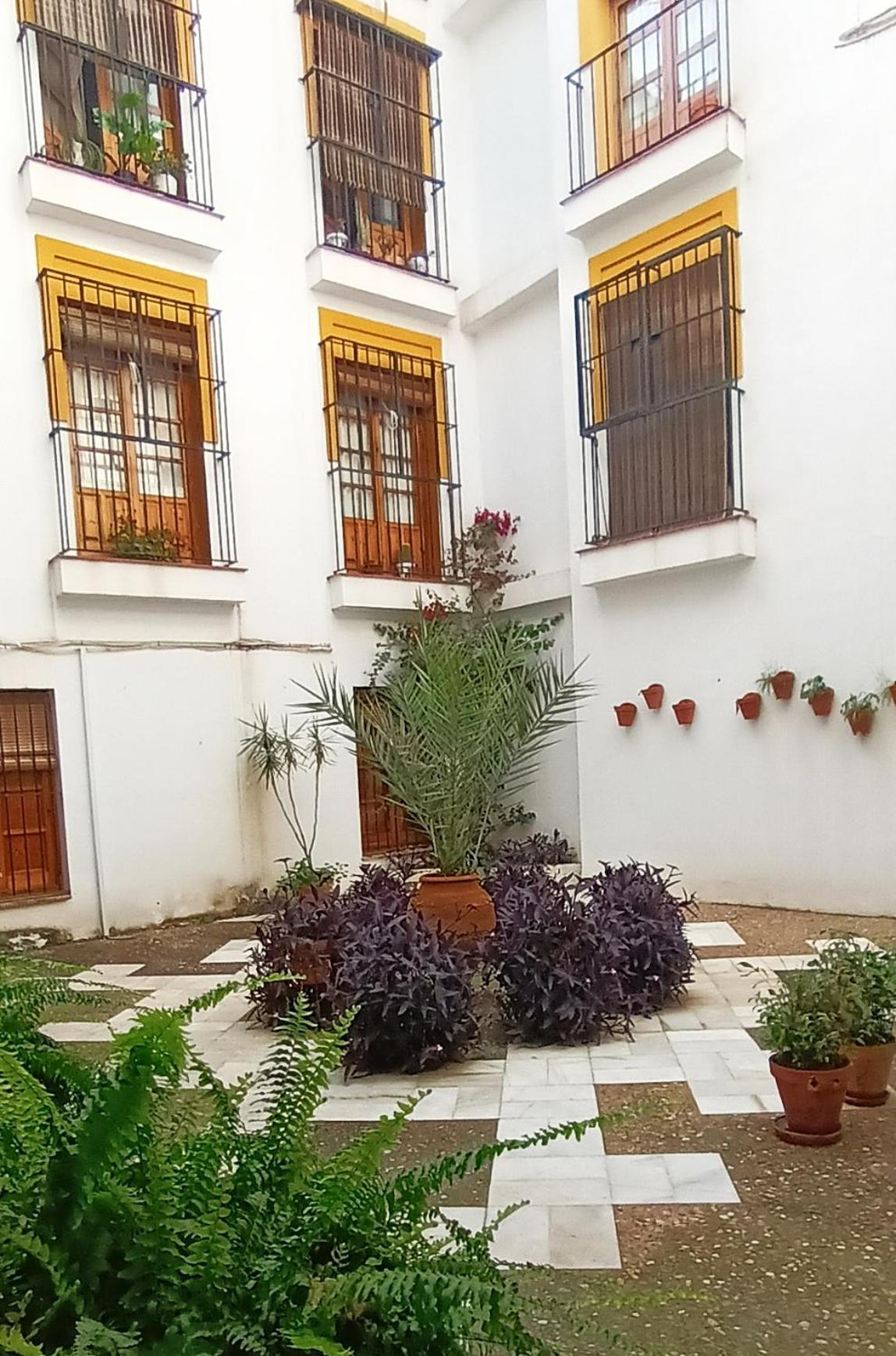 Historia Y Tradicion - Sevilla Desde Dentro. Exterior foto
